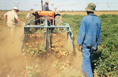 Crop King @ Work.